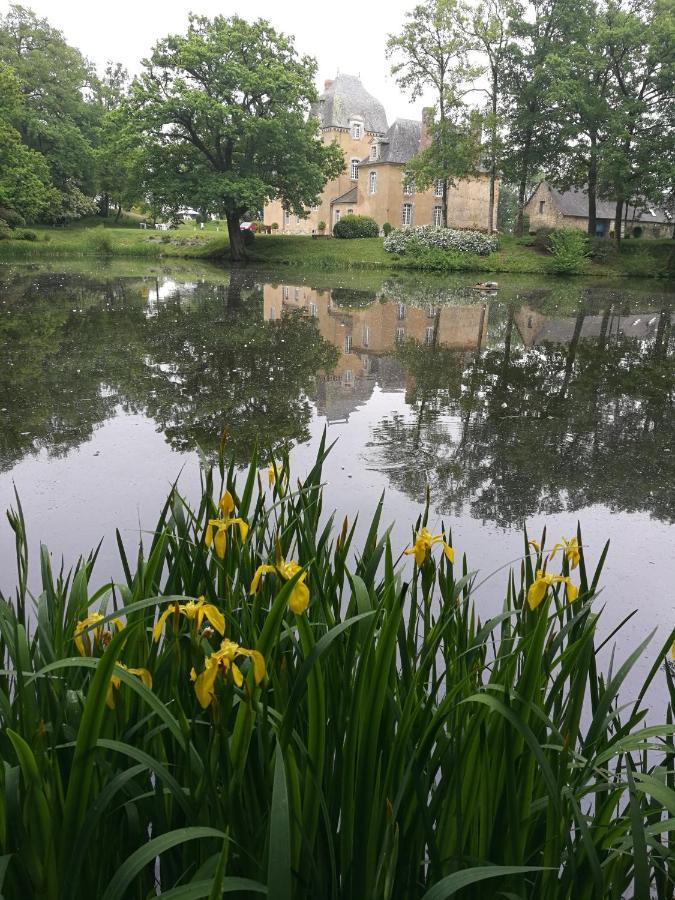 Château Du Bois Glaume Poligné Exterior foto