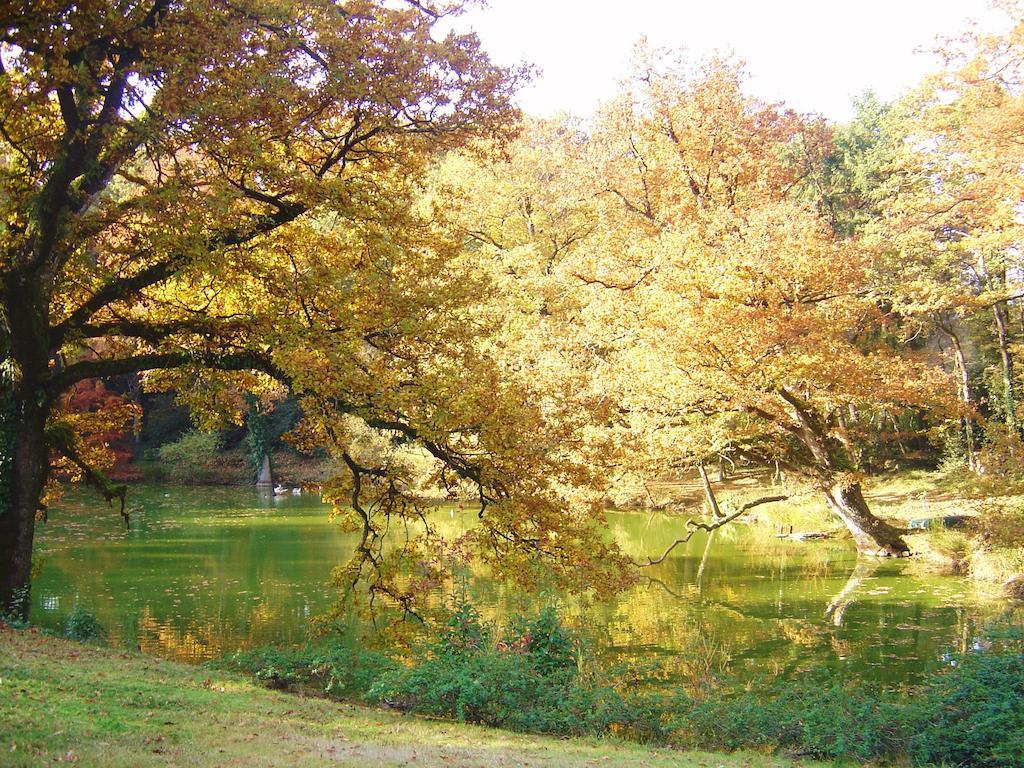 Château Du Bois Glaume Poligné Zimmer foto